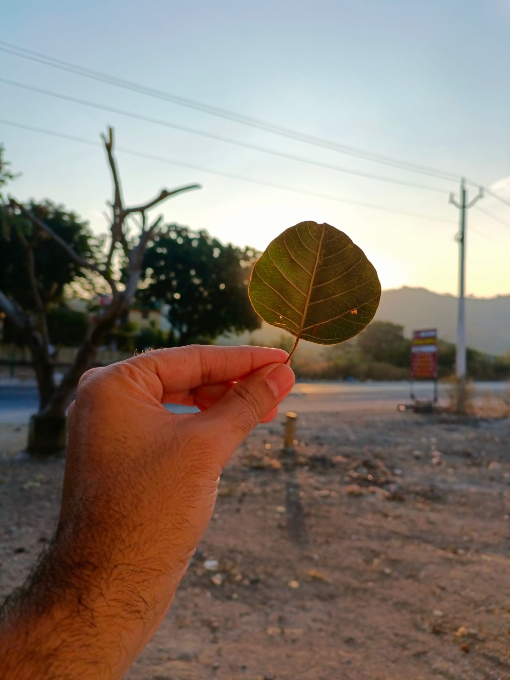 Mount Abu Road&nbsp;2022